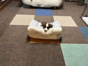 反省と挑戦の日々・・・。