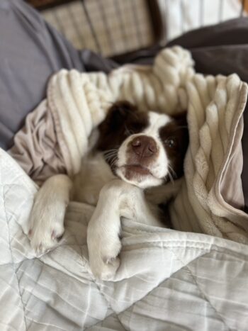 よいお年をお迎えください。